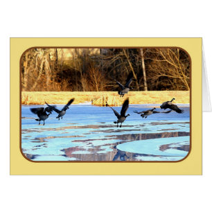 Geese Take Off From A Frozen Pond Cards
