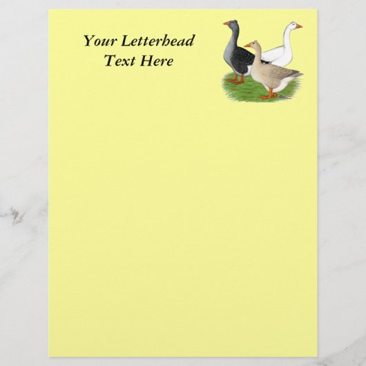 Geese: Tufted Trio (Front)