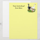 Geese: Tufted Trio (Front/Back)