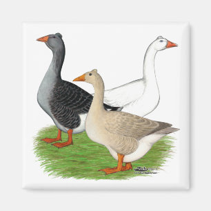 Geese:  Tufted Trio Magnet