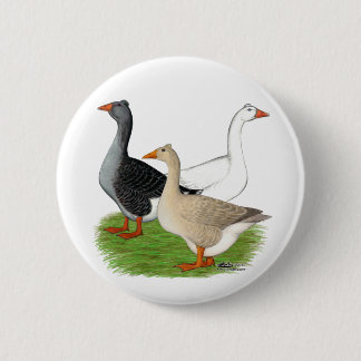 Geese: Tufted Trio Pinback Button