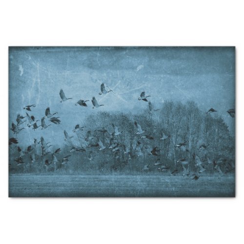 Geese Vintage Antique Teal Blue Texture Decoupage Tissue Paper