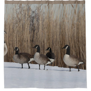Waterfowl Shower Curtains Zazzle
