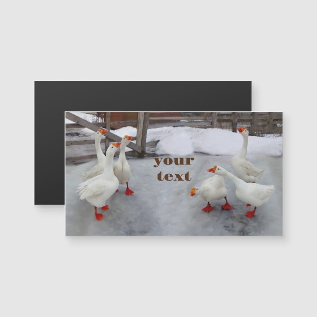 Geese white  (Front/Back)