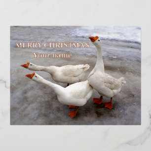 Geese white   foil holiday postcard