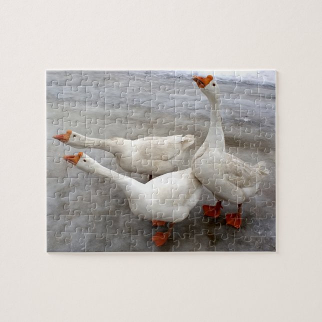 Geese white jigsaw puzzle (Horizontal)