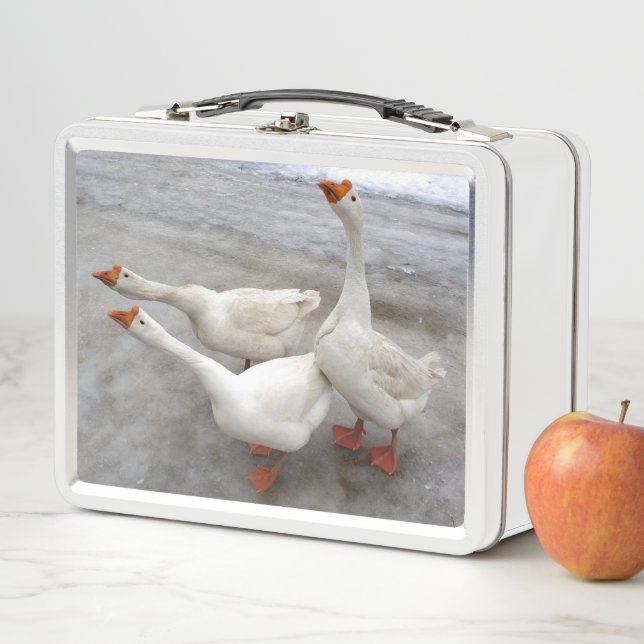 Geese white metal lunch box (In Situ)