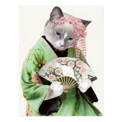 Geisha Kitten Postcard