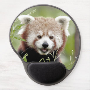 gel mouse pad Photo red panda , animals
