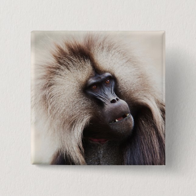 Gelada Baboon, Ethiopia Button (Front)