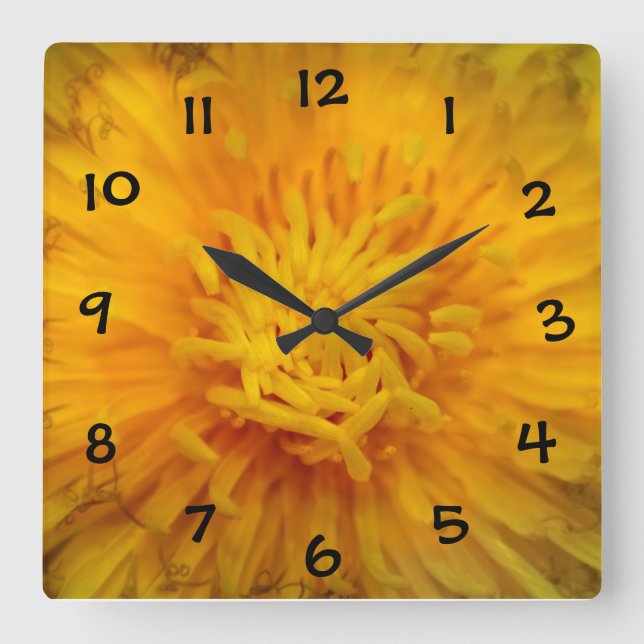 Gelber Löwenzahn Square Wall Clock (Front)
