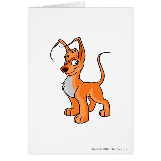 Gelert Orange Cards (Front)