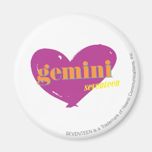 Gemini 2 magnet