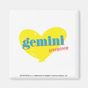 Gemini 3 magnet