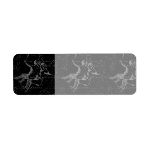 Gemini Constellation Map Engraving by Hevelius Label