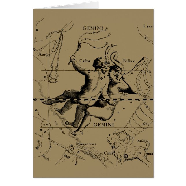 Gemini Constellation Map Hevelius circa 1690 Cards (Front)