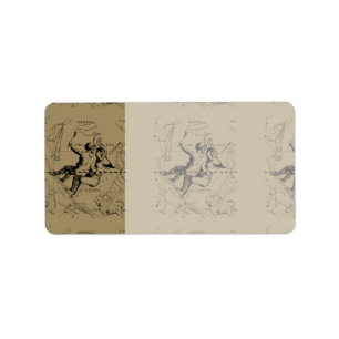 Gemini Constellation Map Hevelius circa 1690 Label