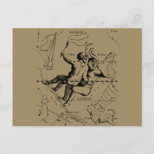 Gemini Constellation Zodiac Hevelius 1690 Postcard