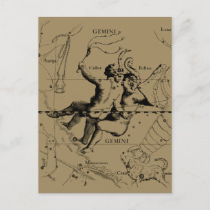 Gemini Constellation Zodiac Hevelius 1690 Postcard