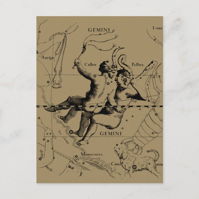 Gemini Constellation Zodiac Hevelius 1690 Postcard (Front)