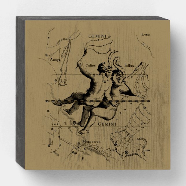 Gemini Constellation Zodiac Hevelius 1690 Wooden Box Sign (Front Horizontal)