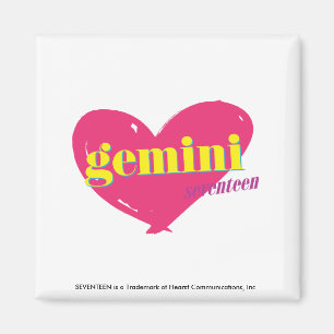 Gemini Magnet