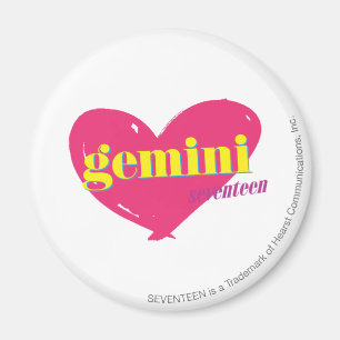 Gemini Magnet
