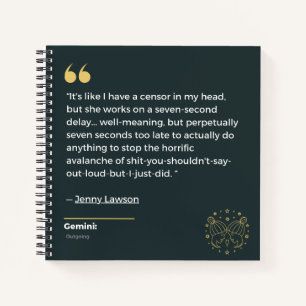 Gemini notebook