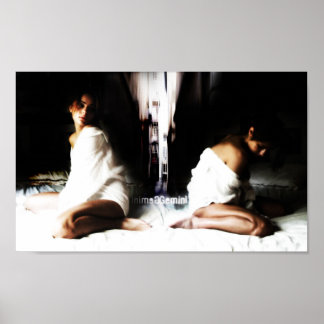 Gemini poster