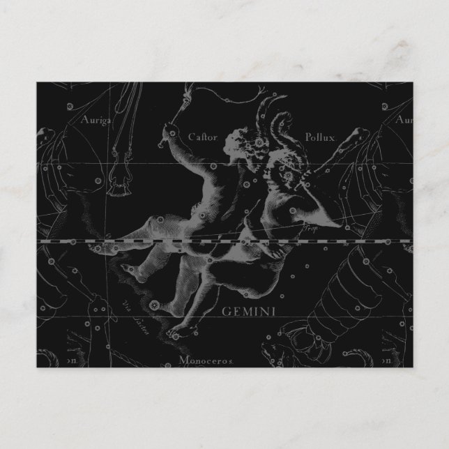 Gemini Zodiac Constellation Hevelius 1690 Postcard (Front)