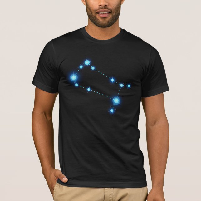 Gemini Zodiac Constellation Stars T-Shirt (Front)