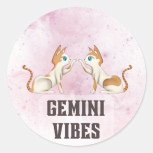 Gemini Zodiac Decal for Astrology Lovers Classic Round Sticker