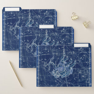 Gemini Zodiac Sign Vintage Illustration File Folder