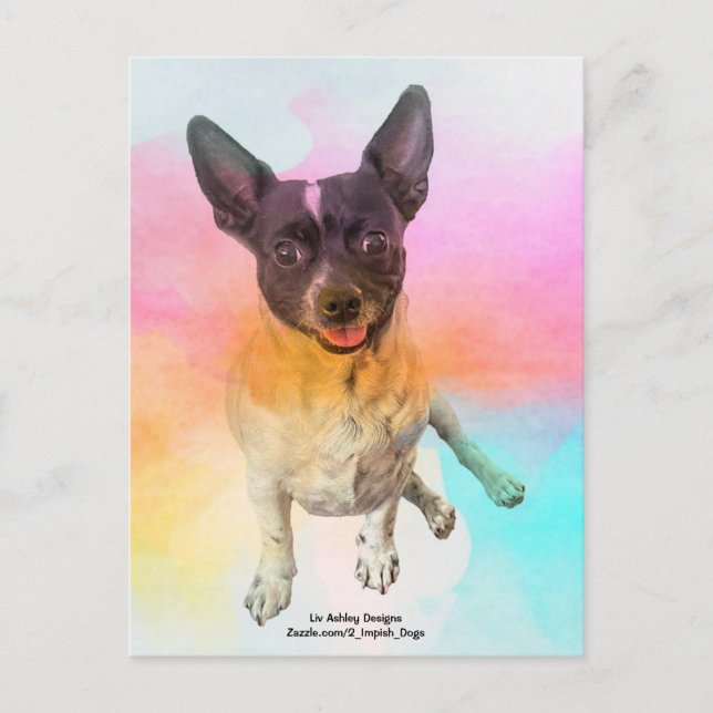 Gemma Disco Postcard (Front)