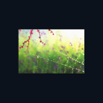 Gems of a Spring Morning Canvas Print