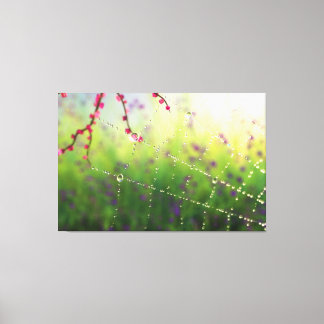 Gems of a Spring Morning Canvas Print