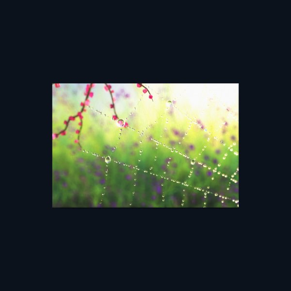 Gems of a Spring Morning Canvas Print Gems of a Spring Morning Canvas Print