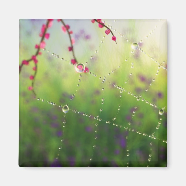 Gems of a Spring Morning Magnet (Front)