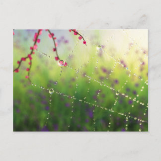 Gems of a Spring Morning Postcard