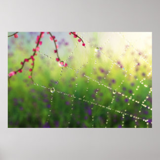 Gems of a Spring Morning Print