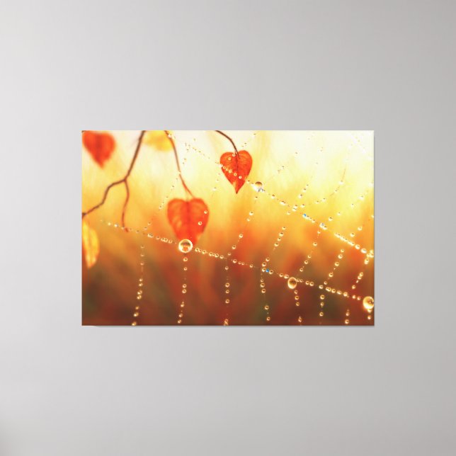 Gems of an Autumn Morning Canvas Print (Front)
