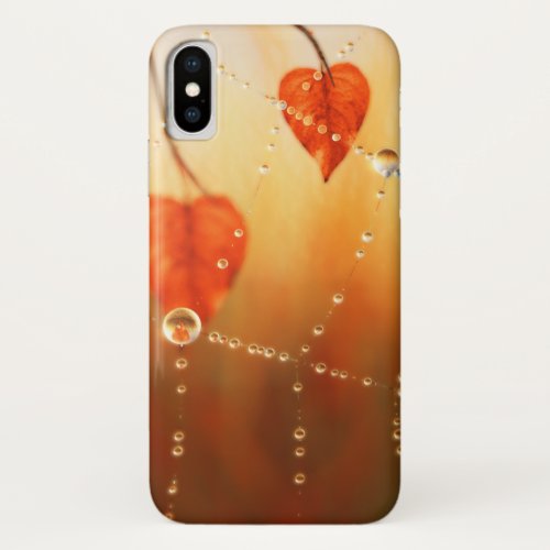 Gems of an Autumn Morning Galaxy Case