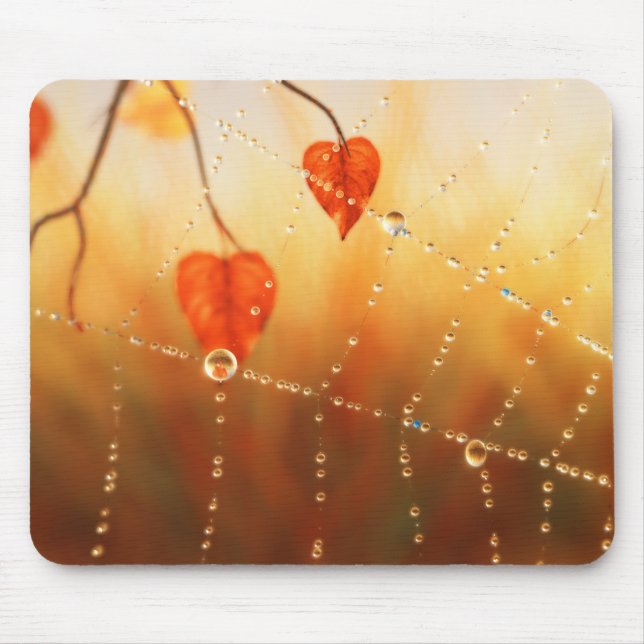 Gems of an Autumn Morning Mousepad (Front)