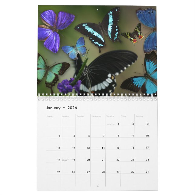 Gems of the Air Calendar (Jan 2026)