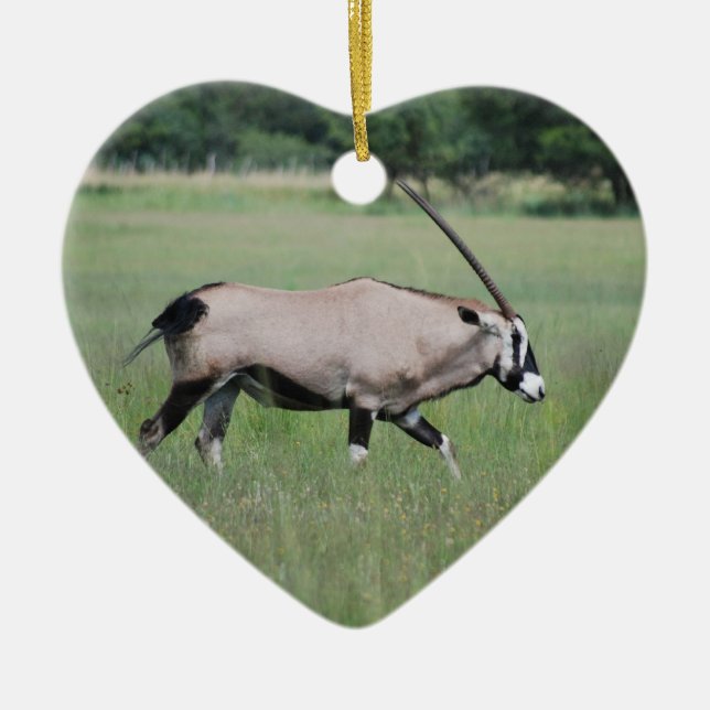 Gemsbok antelope ceramic ornament (Front)