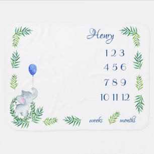 Gender Neutral Milestone Blanket Monthly Weekly