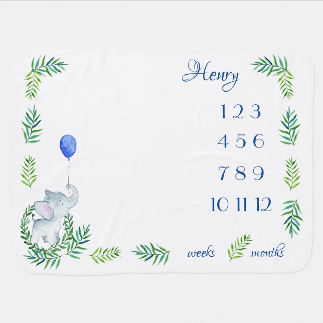 Gender Neutral Milestone Blanket Monthly Weekly (Horizontal)