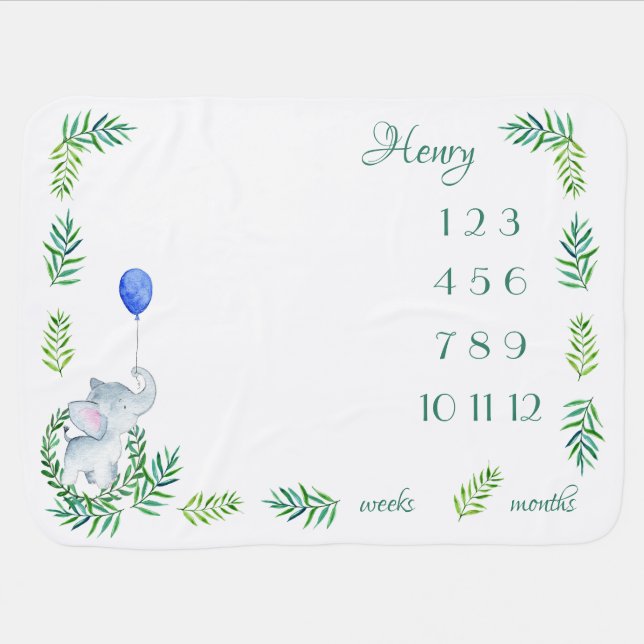 Gender Neutral Milestone Blanket Monthly Weekly (Horizontal)