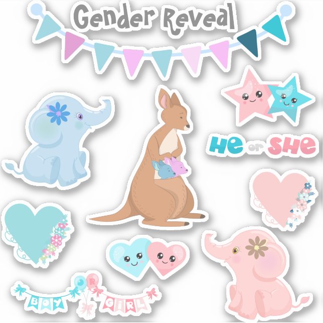 Gender Reveal Baby Pink Blue Set Sticker (Front)