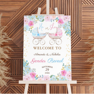Gender Reveal Baby Reveal Pink Blue Welcome Sign